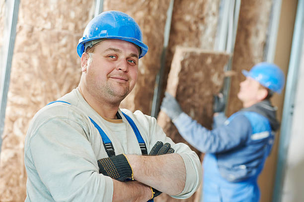 Best Residential Insulation in Swannanoa, NC